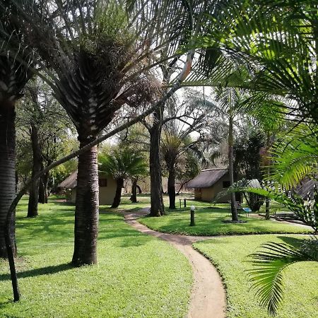 Shumba Safari Bush Camp Villa Hoedspruit Exteriör bild