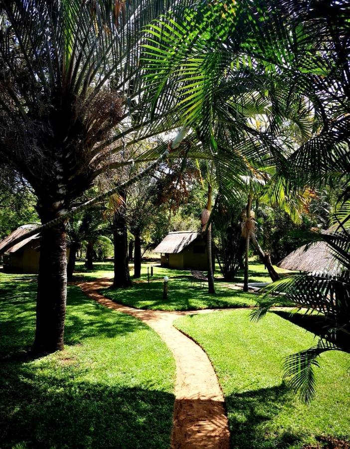 Shumba Safari Bush Camp Villa Hoedspruit Exteriör bild